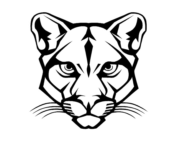 how to draw a realistic puma mountain lion step by step forest