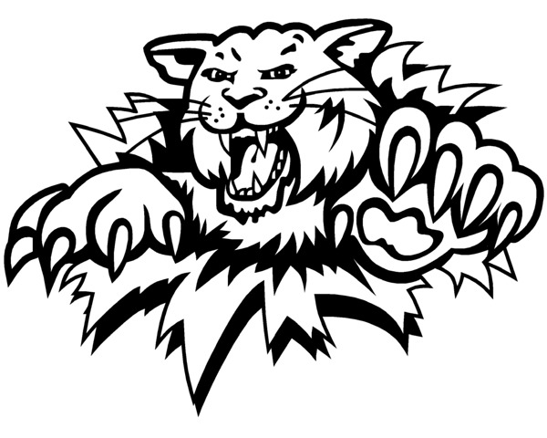 wildcat 0063